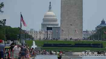 Trump doubles down on Reflecting Pool vandalism claims 