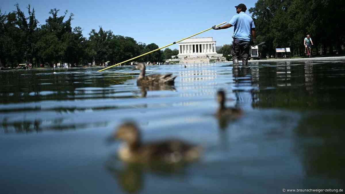 Jetzt auch noch tote Enten: Trumps Pool-Posse am Lincoln-Denkmal landet im Labor