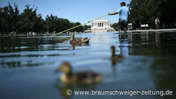 Jetzt auch noch tote Enten: Trumps Pool-Posse am Lincoln-Denkmal landet im Labor