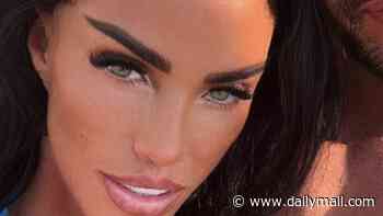 Lee Andrews reveals Katie Price's cat has died as he thanks his 'little genius' barber for miracle hair growth and lauds his 'beautiful' post-prison look