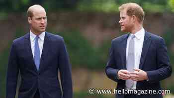Former royal equerry delivers verdict on reconciliation for Prince Harry and Prince William