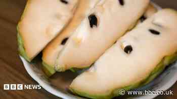 China's import of custard apples is sparking fears in Taiwan