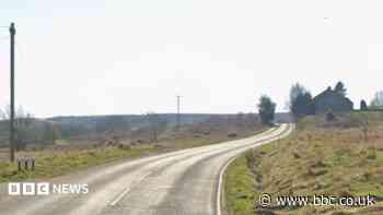 Driver arrested after passenger dies in Audi crash