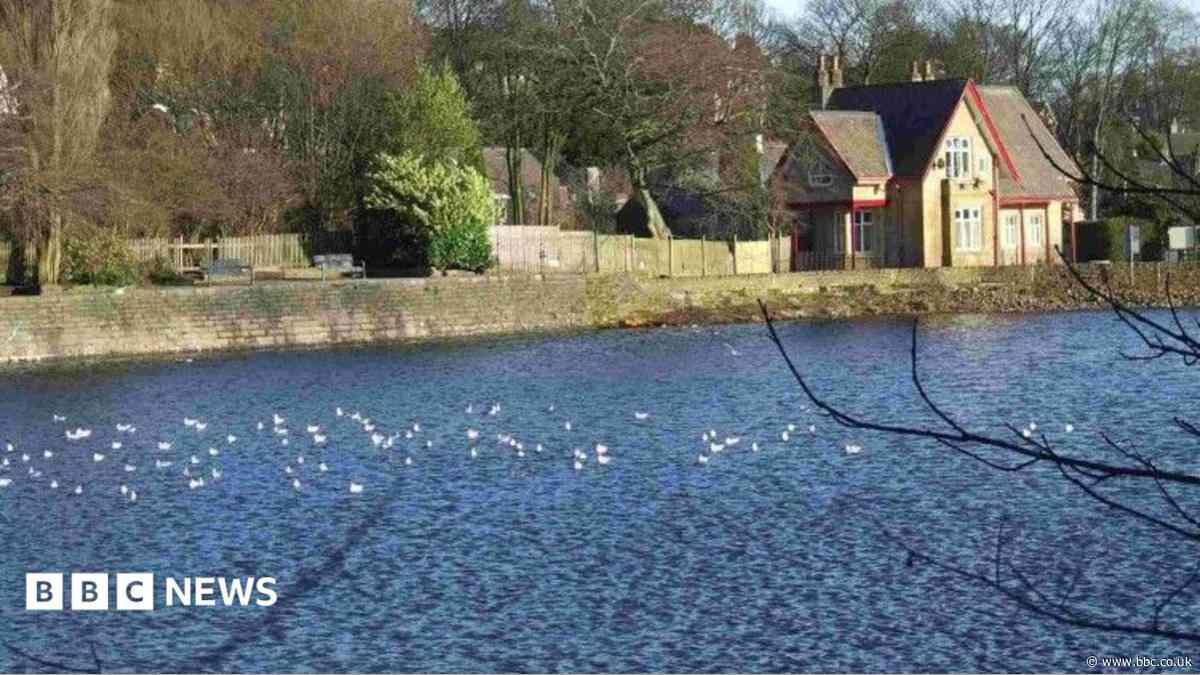 Appeal after teenage girl assaulted while running