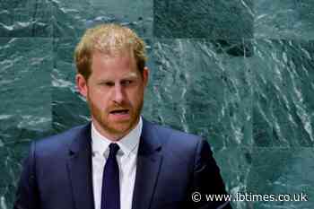 Royal Insider Shuts Down Hopes of a Prince Harry, Prince William Reunion Next Month