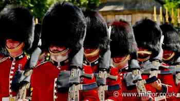 Changing of Guard axed at Buckingham Palace in sweltering heat after red warning issued