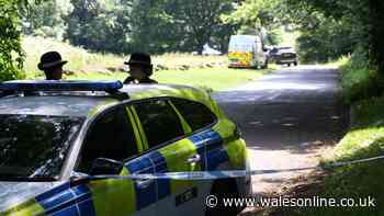 Boy, 14, arrested on suspicion of murder after girl found dead