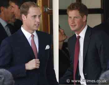'Vindictive and Cruel': Prince Harry Claims Brother William Is 'Drooling Over Power' and Unfit to Be King