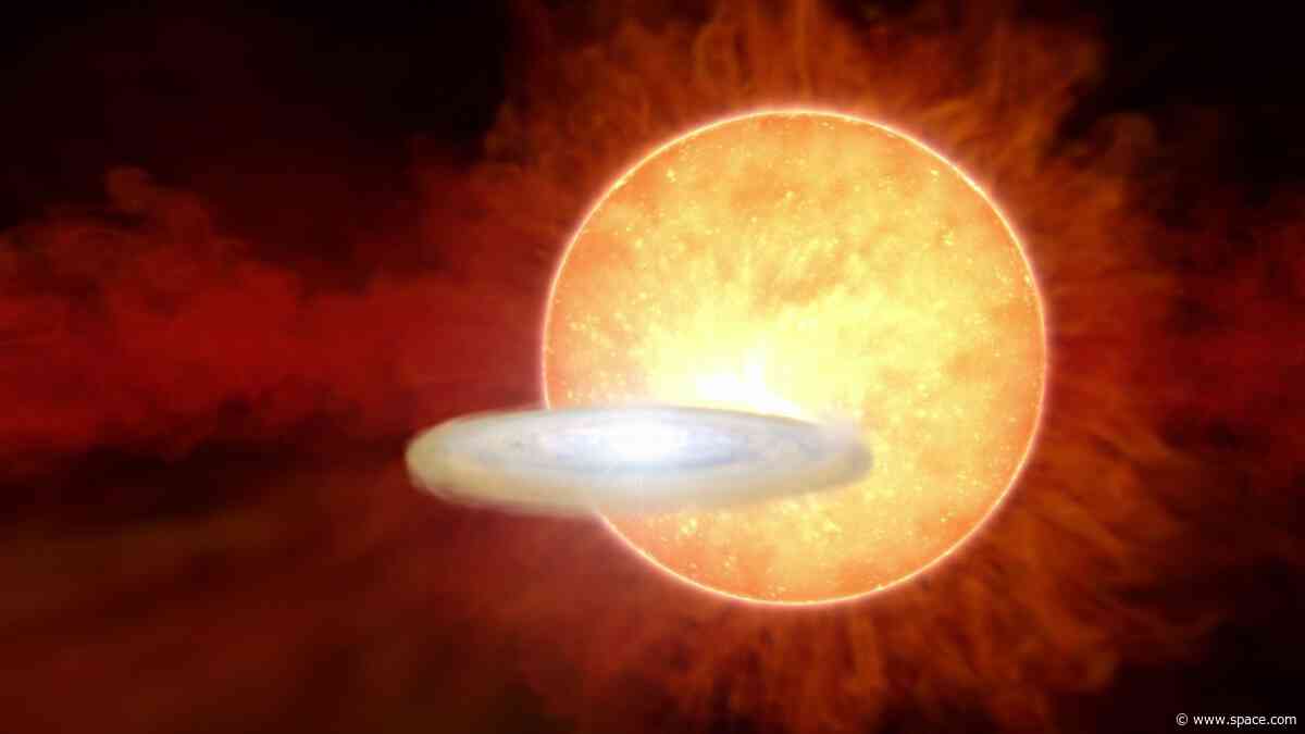 A 'new' star could finally appear in the night sky this week, thanks to a once-in-a-lifetime explosion