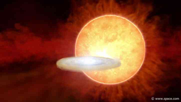 A 'new' star could finally appear in the night sky this week, thanks to a once-in-a-lifetime explosion