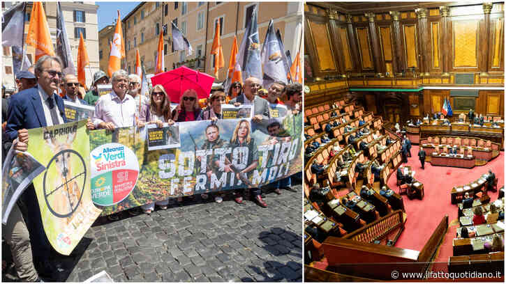 Caccia, approvato in Senato il ddl “sparatutto”. Conte: “Va contro la Costituzione”. Bonelli: “Meloni insegue mondo venatorio e armieri”. In piazza ambientalisti e animalisti