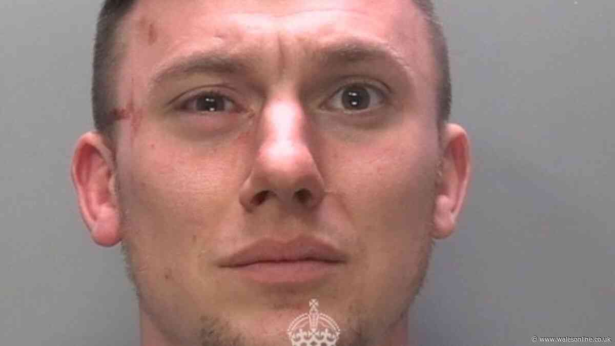 Van driver beat man with hockey stick and left his dog with unsurvivable injuries