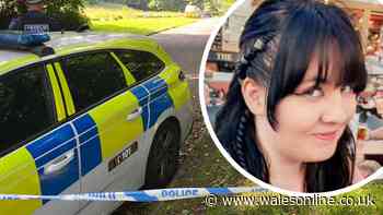 Major update in murder investigation after body found in search for missing girl - live updates