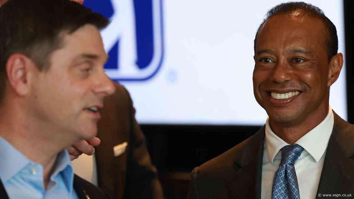 Tiger makes first public appearance since arrest