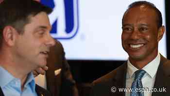 Tiger makes first public appearance since arrest