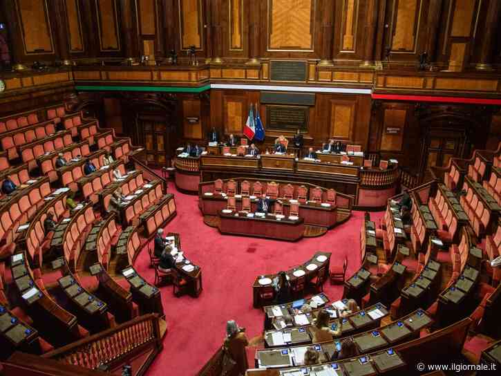Via libera del Senato al ddl caccia. In piazza ambientalisti e animalisti