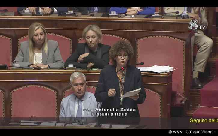 “Sento un’oca starnazzare”, l’uscita infelice della senatrice di FdI mentre si parla di caccia: proprio l’oca selvatica è tra le nuove specie a cui si potrà sparare