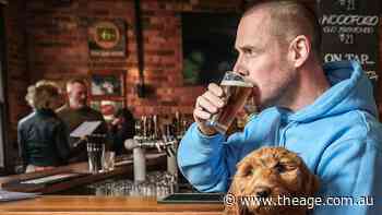 Body cams, threats and fines: Pets in pubs have become a dog’s breakfast