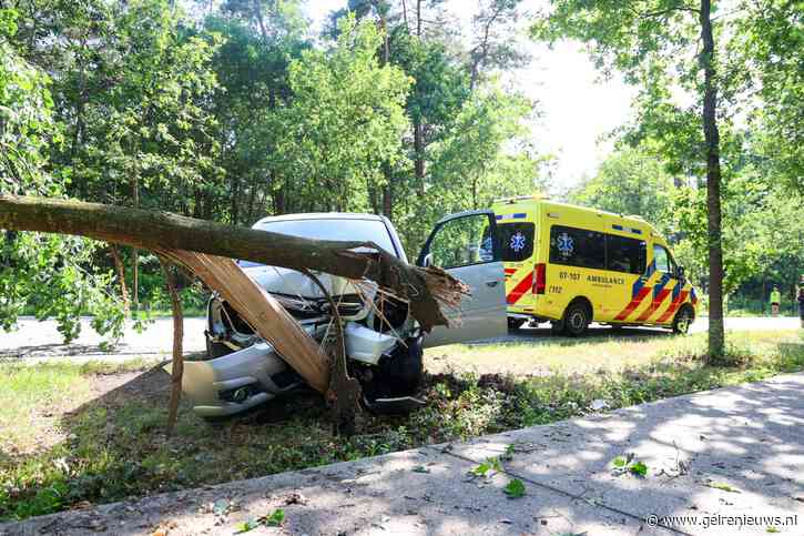 Automobilist rijdt boom omver, bestuurder lijkt engeltje op schouder te hebben