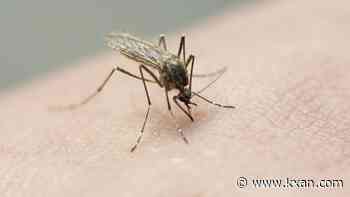 Williamson County mosquito trap positive for West Nile virus