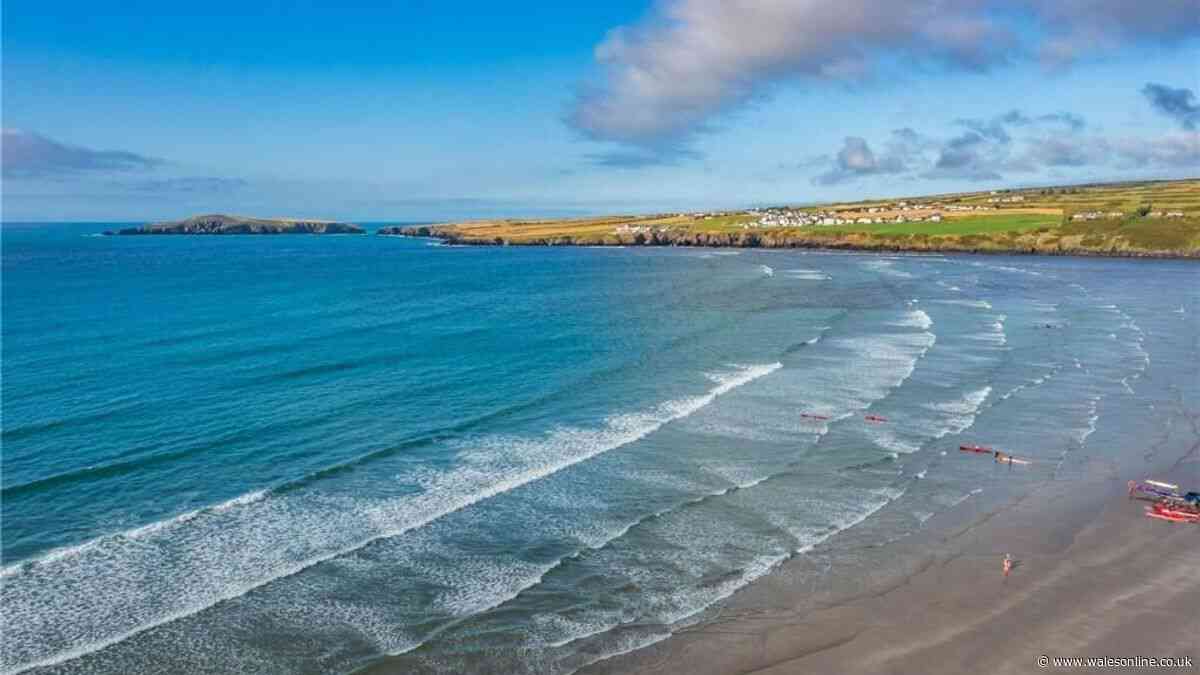 This Welsh beach has dolphins, stunning coastal walks and a beachside bakery worth the journey