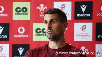 Wales' new defence coach lays out his demands to players and sees opportunity