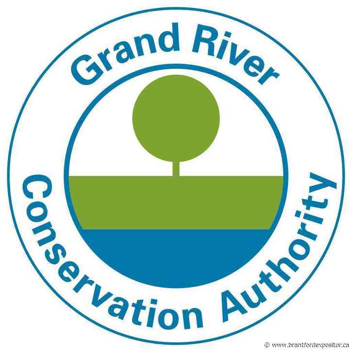'Pivotal moment': Conservation authorities prepare for amalgamation