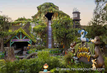 Young Disneyland visitor falls down 50-foot drop on Tiana’s Bayou Adventure