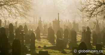 Man arrested in Hungary for collecting human body parts from cemeteries