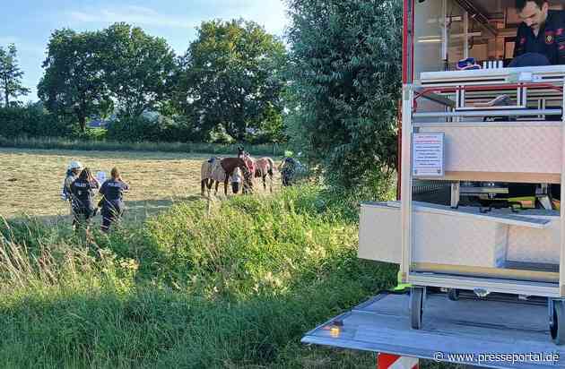 FW Rheurdt: Pferd "Donoven" stürzt in Graben - und rettet sich im Beisein der Feuerwehr selbst