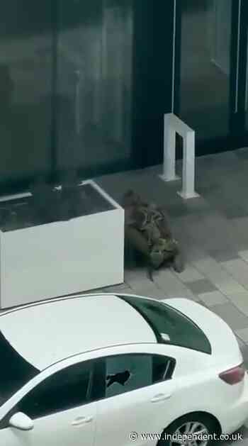 Video shows terrifying moments of Montreal shooting that left two victims dead as possible incel manifesto revealed