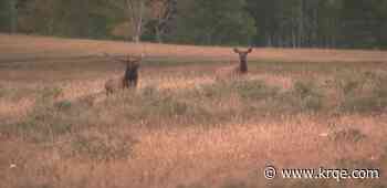 Bidding on Governor's Special Hunt Auction, Enhancement Raffle to end soon