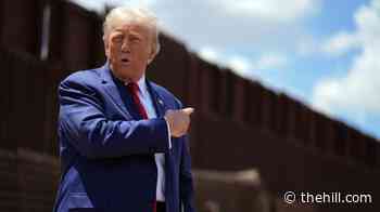 Federal appeals court allows Trump administration to resume fast-track deportations