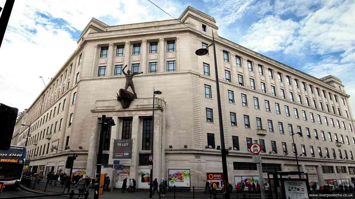 What should Liverpool's landmark Lewis's Building become?