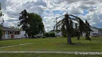 6 tornadoes swept through Alberta’s Peace region last week, researchers say