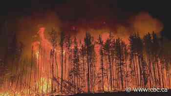 Provincial auditor urges Sask. to include all expected wildfire costs in budgeting