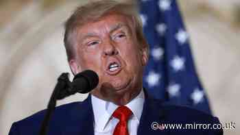 Six arrested without evidence as Trump blames 'vandals' for damaging DC's Reflecting Pool