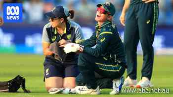 Injury mars Australia's crushing T20 World Cup win over Pakistan