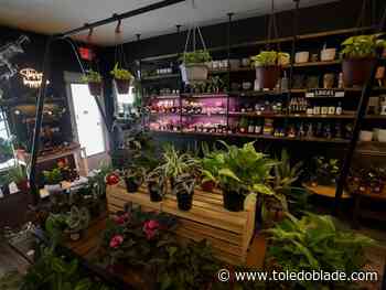 Plant store offers laid-back, after-hours networking event
