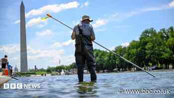 Trump says repairs to algae-plagued Reflecting Pool will begin immediately