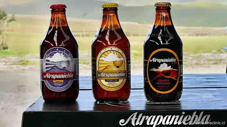 La historia de los hermanos detrás de Atrapaniebla, la cerveza elaborada con agua de camanchaca: “Si no fuera por nuestro sistema, esta agua se perdería”
