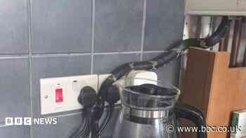 Snake found hiding in boiler by new home owner