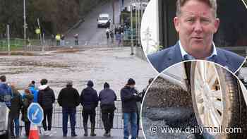 As potholes and unfixed storm damage blight our country roads, these are the rural councils who say they have no cash left in their budget to sort out the 'crisis'... But is your area affected?
