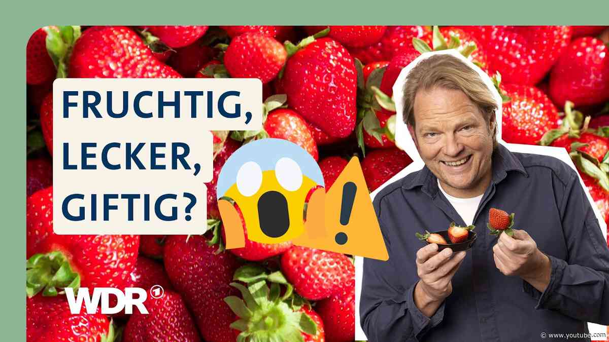 Erdbeeren im Check: Darauf solltest du beim Kauf achten | Der Vorkoster | WDR