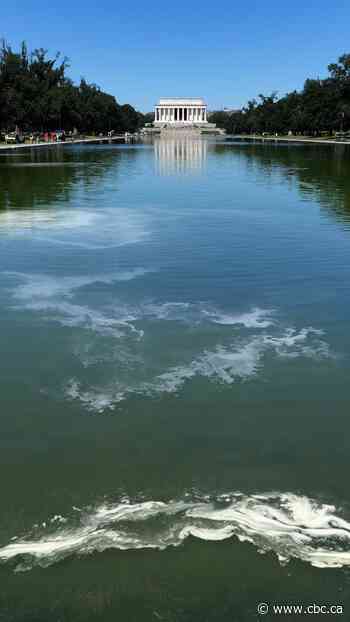 The Reflecting Pool saga | About That