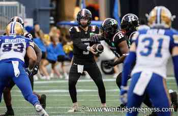 Brown back with Blue and Gold