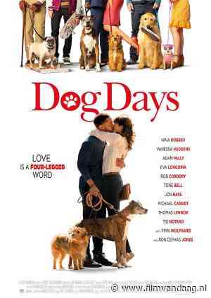 Dog Days [20:25, RTL8, IMDb: 6.3]