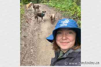 Dog walkers look for rules, structure around pet safety