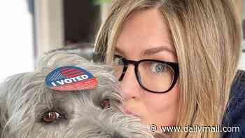 Jennifer Aniston and dozens of other A-list stars named in Hollywood voting scandal