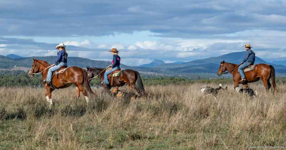 Quality country with outstanding views to the Great Dividing Range | Video